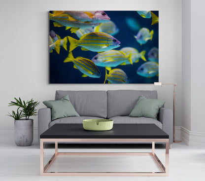 Printed canvas · High quality · Fish · Wall art