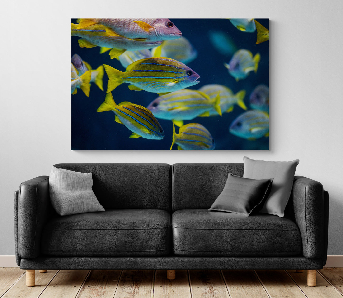 Printed canvas · High quality · Fish · Wall art