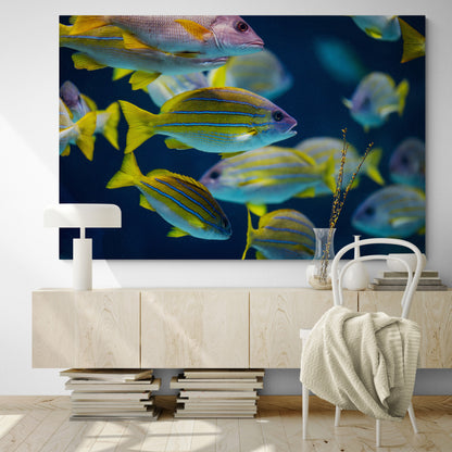 Printed canvas · High quality · Fish · Wall art