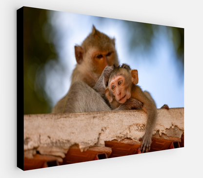 Printed canvas · High quality · Monkeys · Wall art