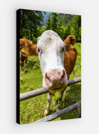 Vertical printed canvas · High quality · Cow · Wall art