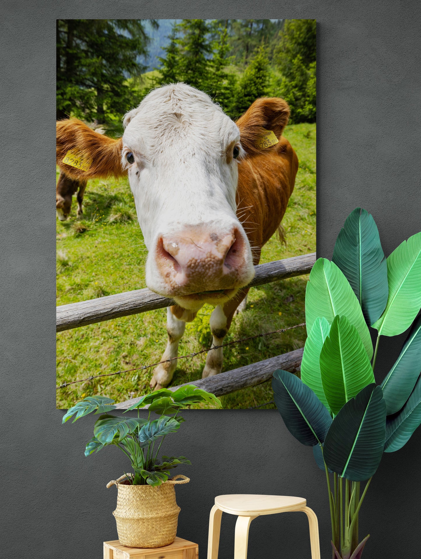 Vertical printed canvas · High quality · Cow · Wall art