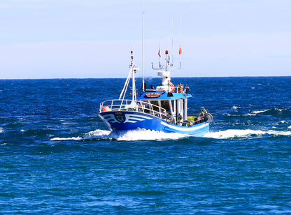 Printed canvas · High quality · Fishing boat · Spain · Wall art