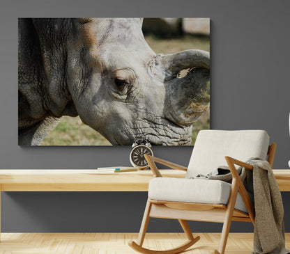 Printed canvas · High quality · Rhinoceros · Wall art