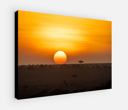 Printed canvas · High quality · Sunset · Savannah · Wall art