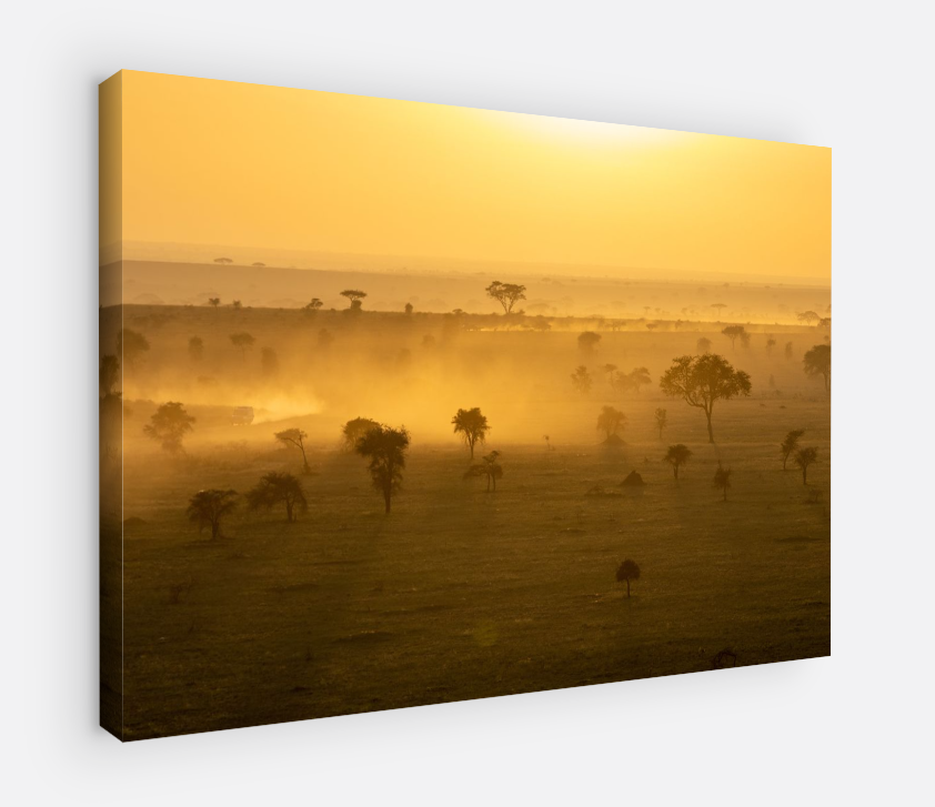 Printed canvas · High quality · Savanna · Africa · Wall art