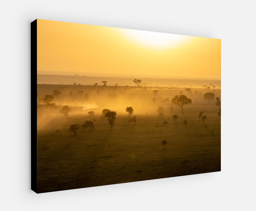 Printed canvas · High quality · Savanna · Africa · Wall art