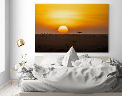 Printed canvas · High quality · Sunset · Savannah · Wall art