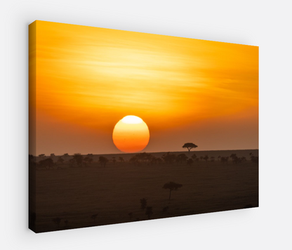 Printed canvas · High quality · Sunset · Savannah · Wall art