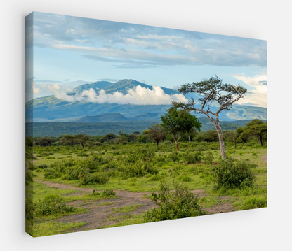 Printed canvas · High quality · African savannah · Wall art