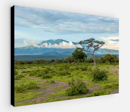 Printed canvas · High quality · African savannah · Wall art