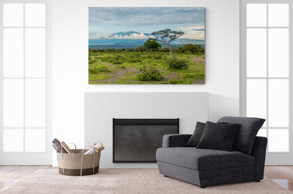 Printed canvas · High quality · African savannah · Wall art