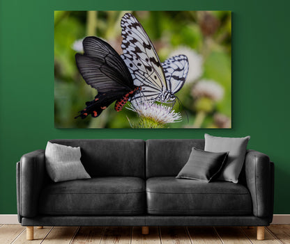 Printed canvas · High quality · Butterflies · Wall art