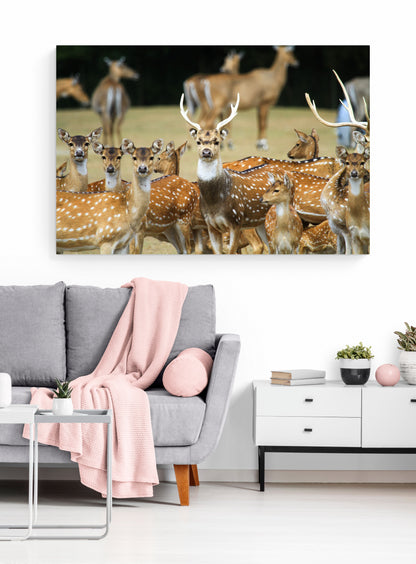 Printed canvas · High quality · Wild deer · Wall art