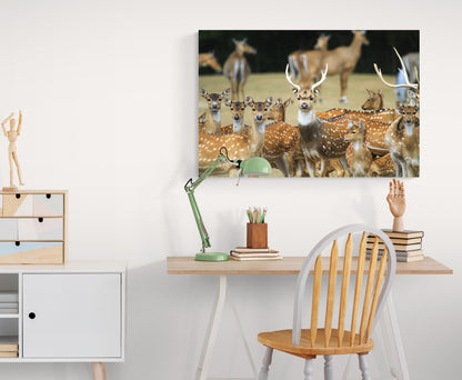 Printed canvas · High quality · Wild deer · Wall art