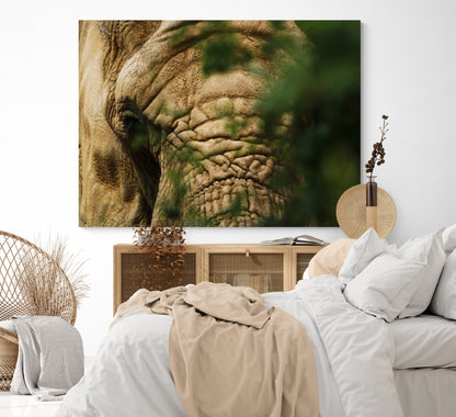 Printed canvas · High quality · Elephant · Wall art