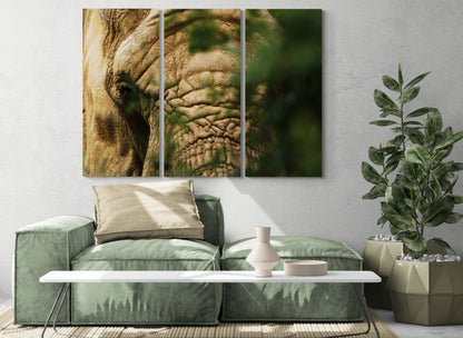 Printed canvas · High quality · Elephant · Wall art