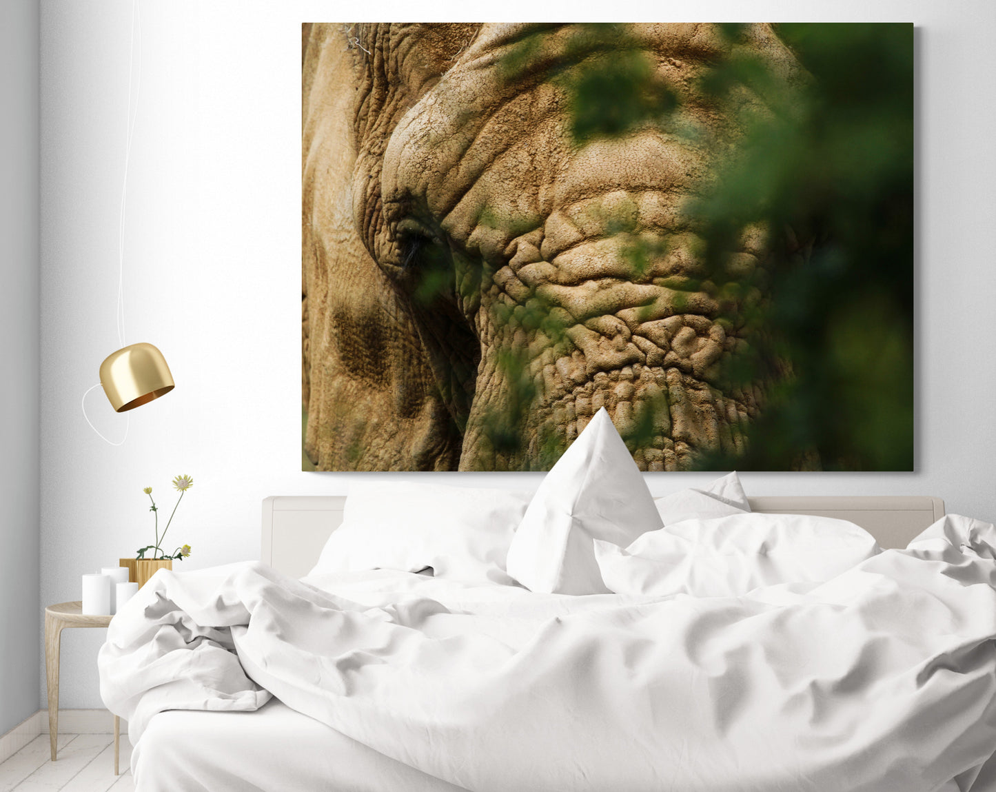 Printed canvas · High quality · Elephant · Wall art