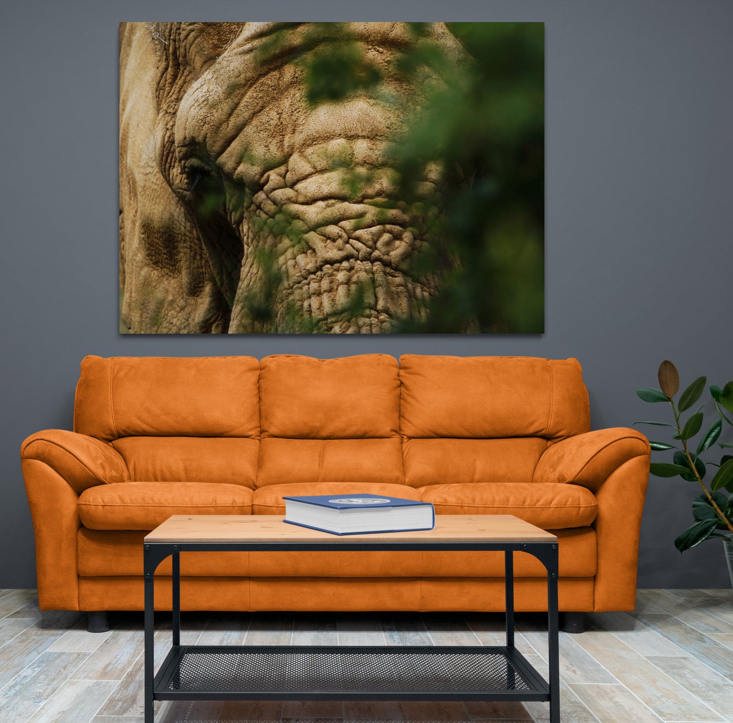 Printed canvas · High quality · Elephant · Wall art