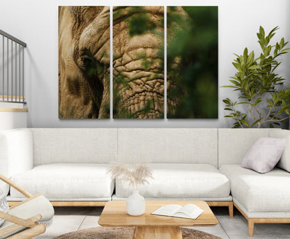 Printed canvas · High quality · Elephant · Wall art