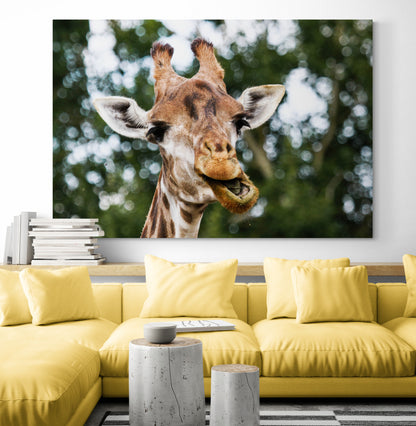 Printed canvas · High quality · Giraffe · Wall art