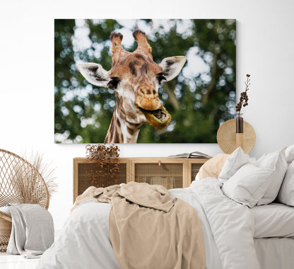 Printed canvas · High quality · Giraffe · Wall art