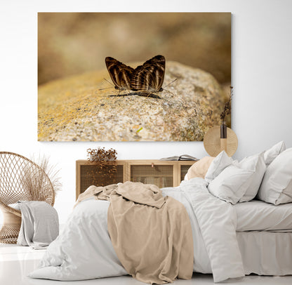 Printed canvas · High quality · Butterflies in nature · Wall art