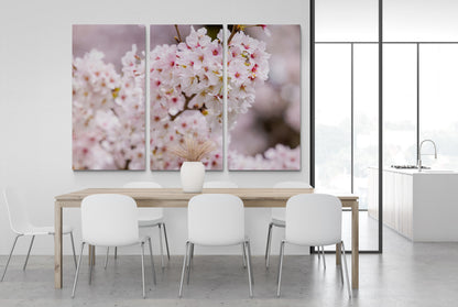 Printed canvas · High quality · Pink Japanese cherry tree · Wall art