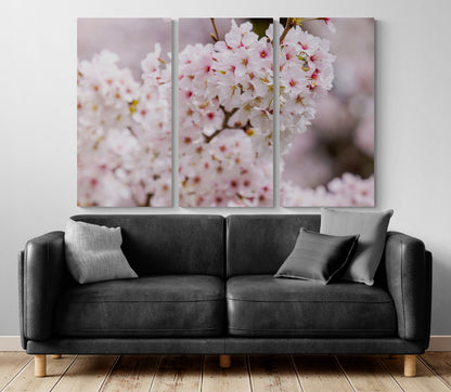 Printed canvas · High quality · Pink Japanese cherry tree · Wall art