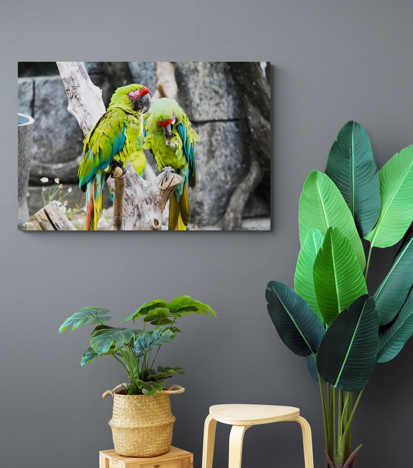 Printed canvas · High quality · Parrots · Wall art