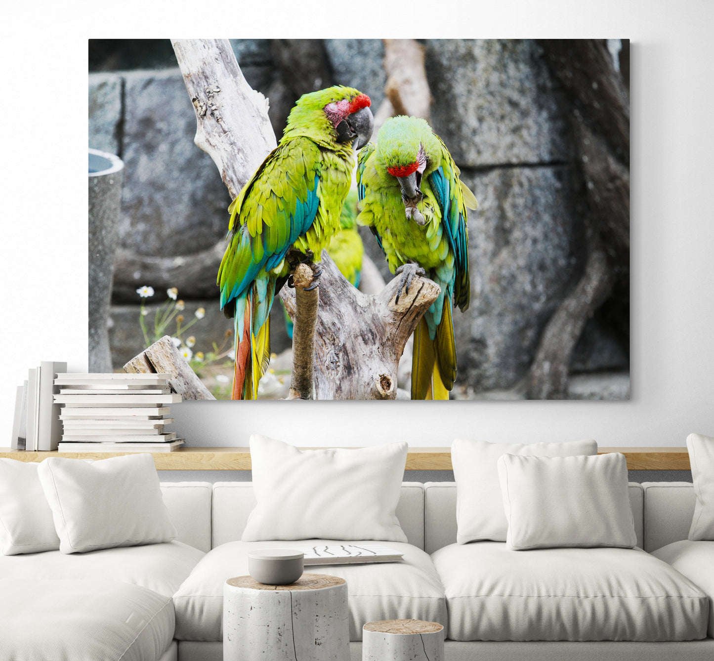 Printed canvas · High quality · Parrots · Wall art