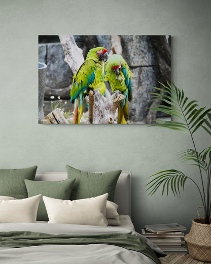 Printed canvas · High quality · Parrots · Wall art