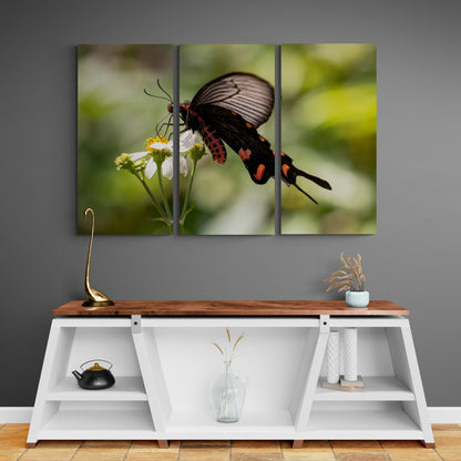 Printed canvas · High quality · Black and red butterfly · Wall art