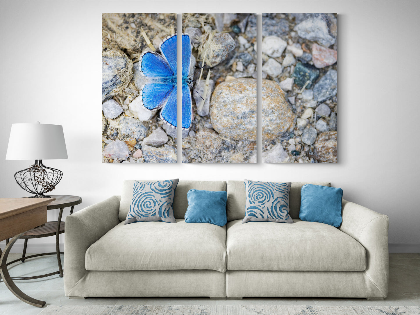 Printed canvas · High quality · Blue butterfly · Wall art