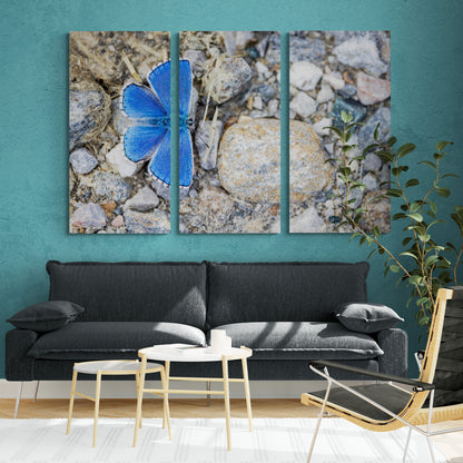 Printed canvas · High quality · Blue butterfly · Wall art