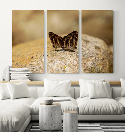 Printed canvas · High quality · Butterflies in nature · Wall art