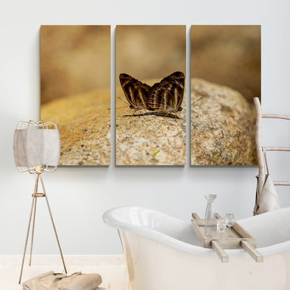 Printed canvas · High quality · Butterflies in nature · Wall art