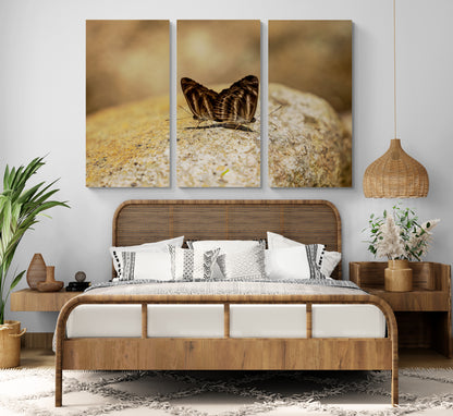 Printed canvas · High quality · Butterflies in nature · Wall art