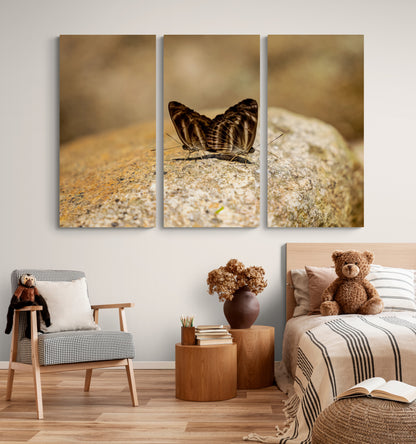 Printed canvas · High quality · Butterflies in nature · Wall art