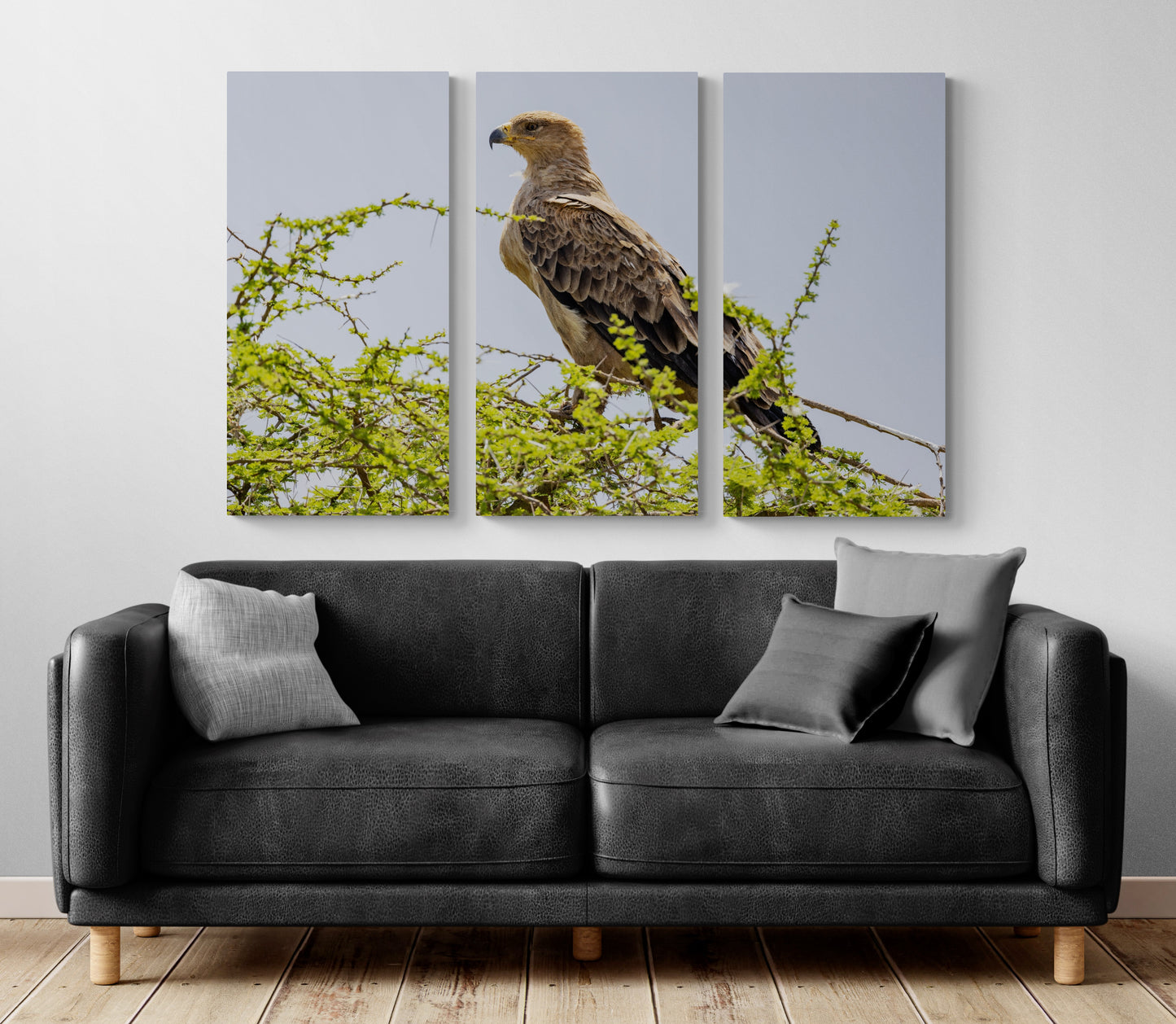 Printed canvas · High quality · Raptor · Africa · Wall art