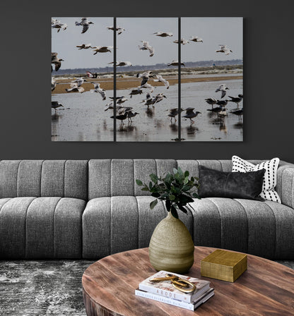 Printed canvas · High quality · Flying seagulls on the square · Wall art