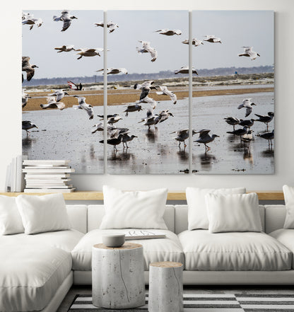 Printed canvas · High quality · Flying seagulls on the square · Wall art