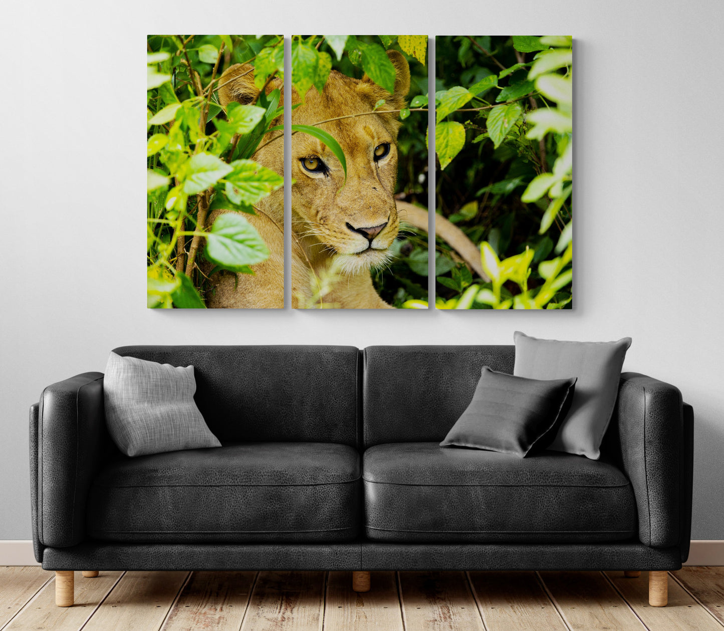 Printed canvas · High quality · Lioness · Wall art