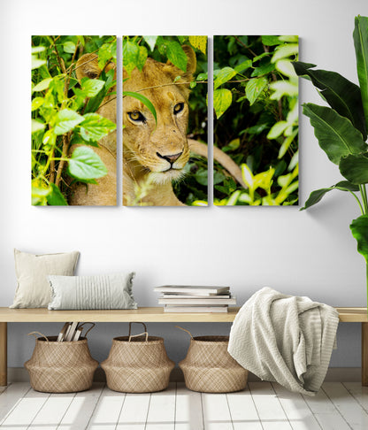 Printed canvas · High quality · Lioness · Wall art