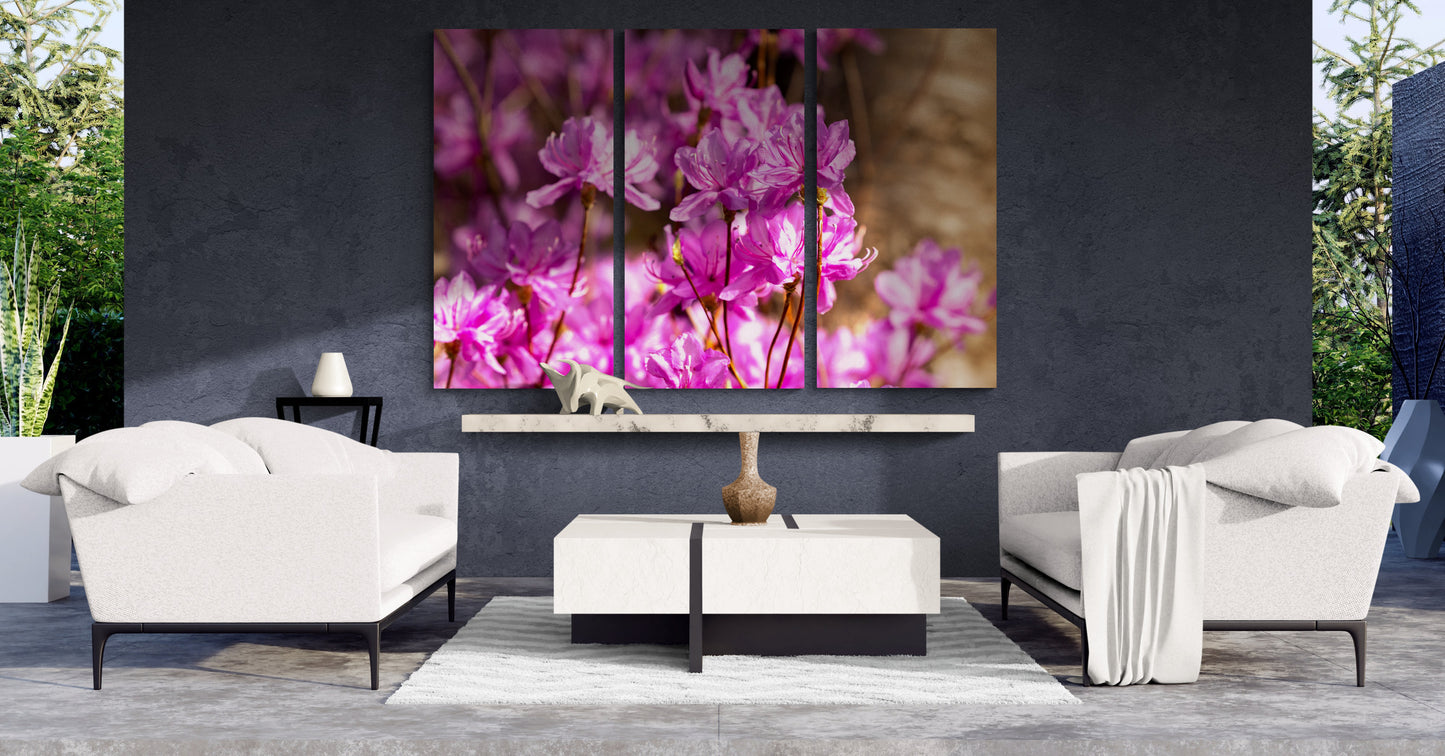 Printed canvas · High quality · Pink flowers · Wall art