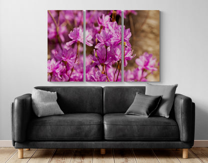 Printed canvas · High quality · Pink flowers · Wall art