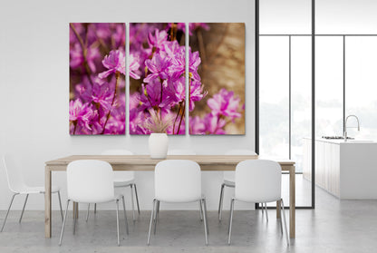 Printed canvas · High quality · Pink flowers · Wall art