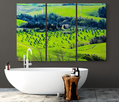 Printed canvas · High quality · Tuscany · Wall art