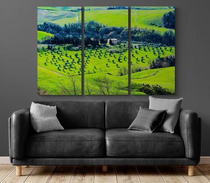 Printed canvas · High quality · Tuscany · Wall art