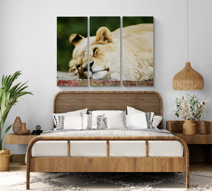 Printed canvas · High quality · Lioness · Wall art